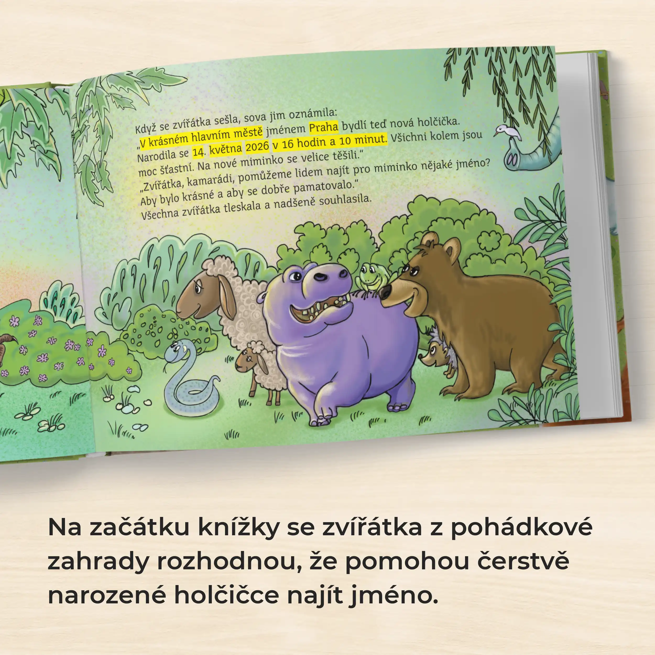 Moje jméno – Markéta Dostálková - Obrázek 3
