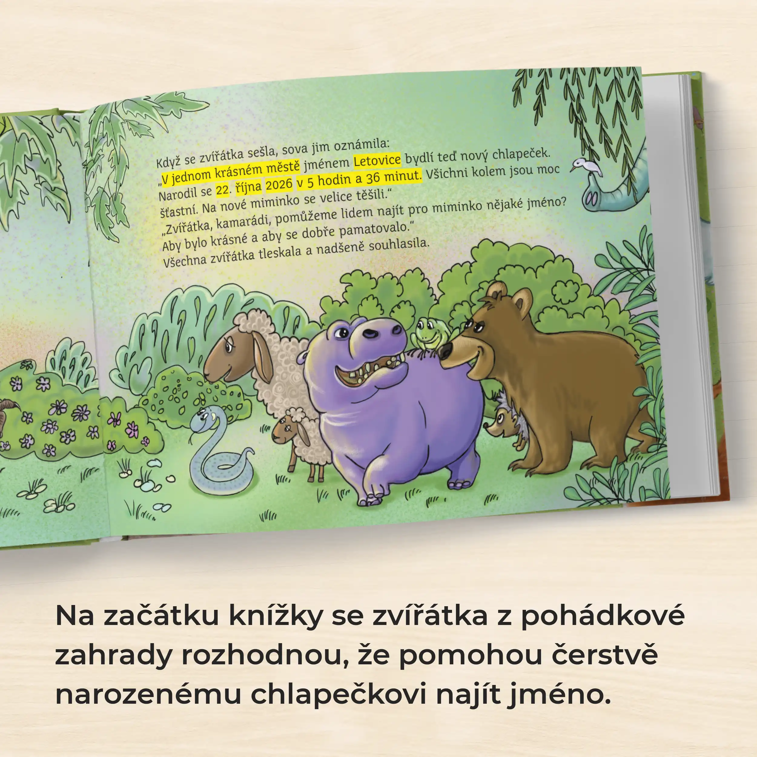 Moje jméno – Matyáš Kubín - Obrázek 3