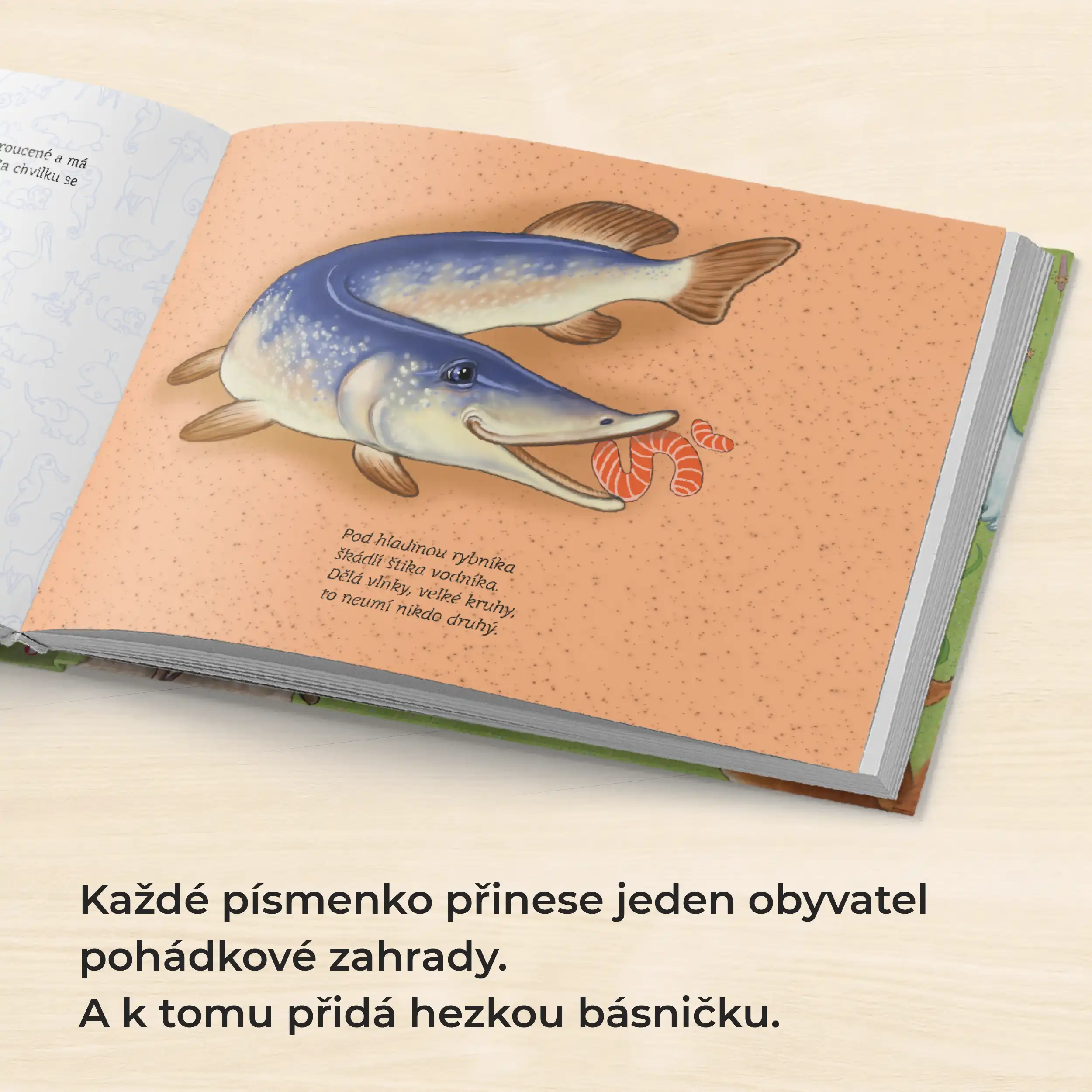 Moje jméno – Matyáš Kubín - Obrázek 4