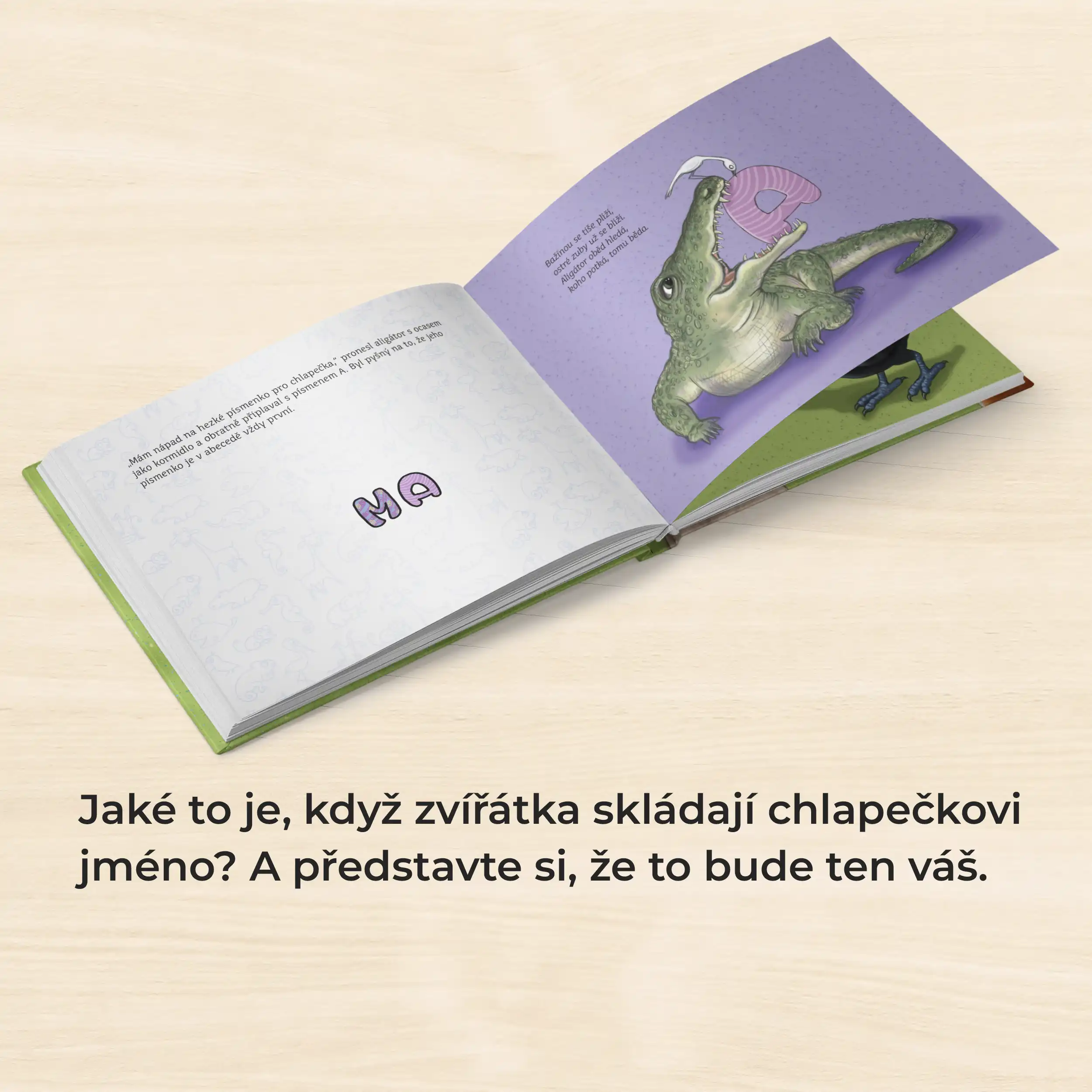 Moje jméno – Matyáš Kubín - Obrázek 7