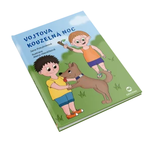 Vojtova kouzelná noc